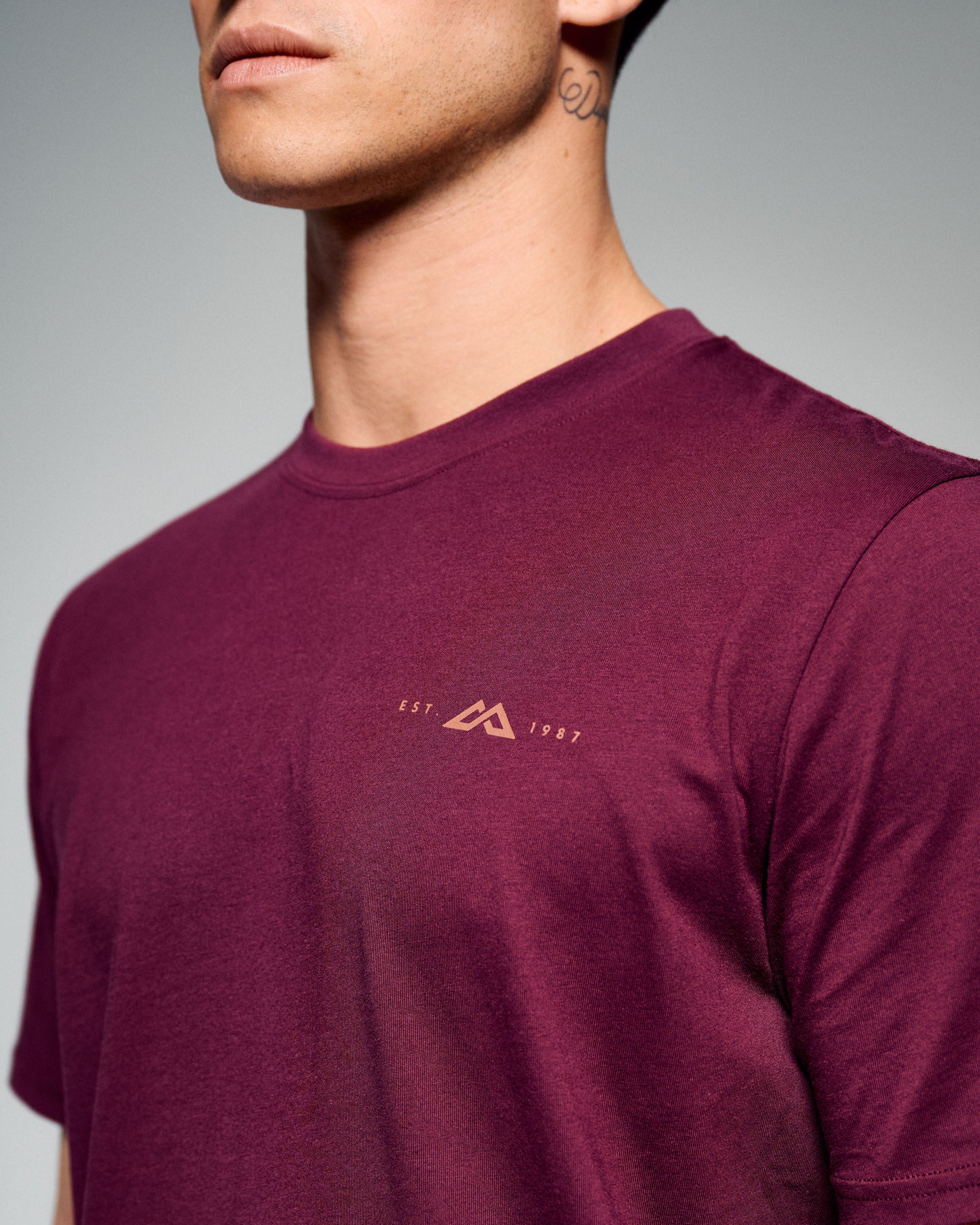Men's 1987 Organic Cotton T-Shirt - Mulberry - Image 3