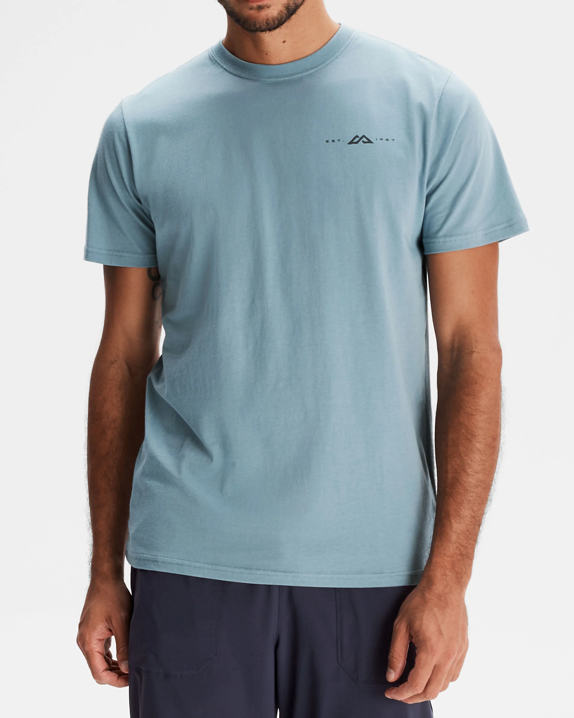 Men's Mountain Rays Organic Cotton T-shirt - Vapor - Image 3